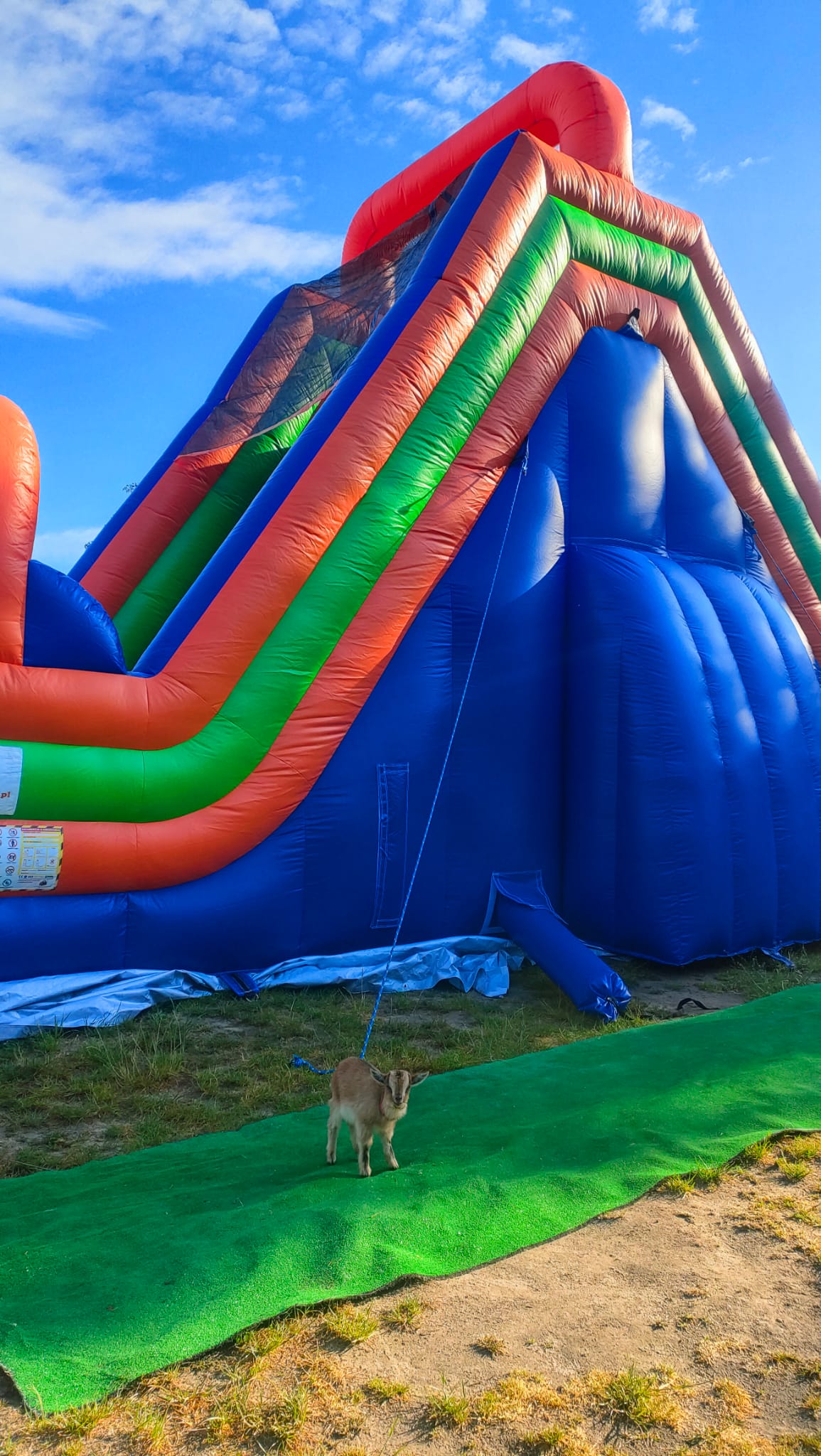 Dmuchaniec long - zjeżdżalnia i miejsce do wspinania